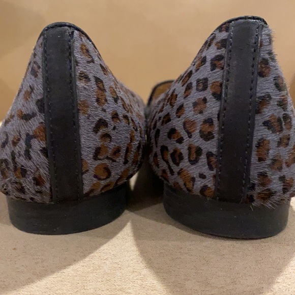 Grey Leopard - Picture 3 of 8